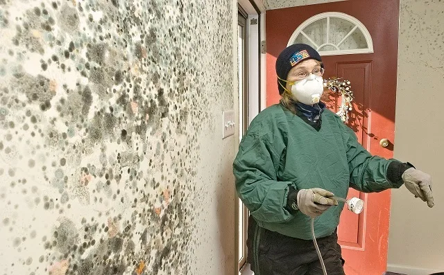 При обработке стен антисептическими составами принимаются самые серьезные меры по защите кожи, глаз, органов дыхания.