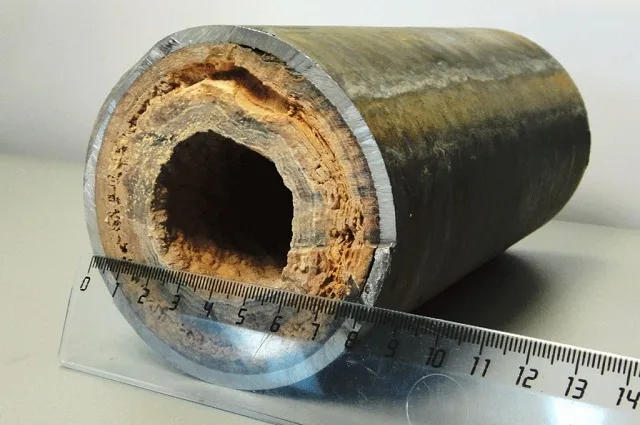 Отрезок стальной трубы из системы, которая длительное время не подвергалась очистке.