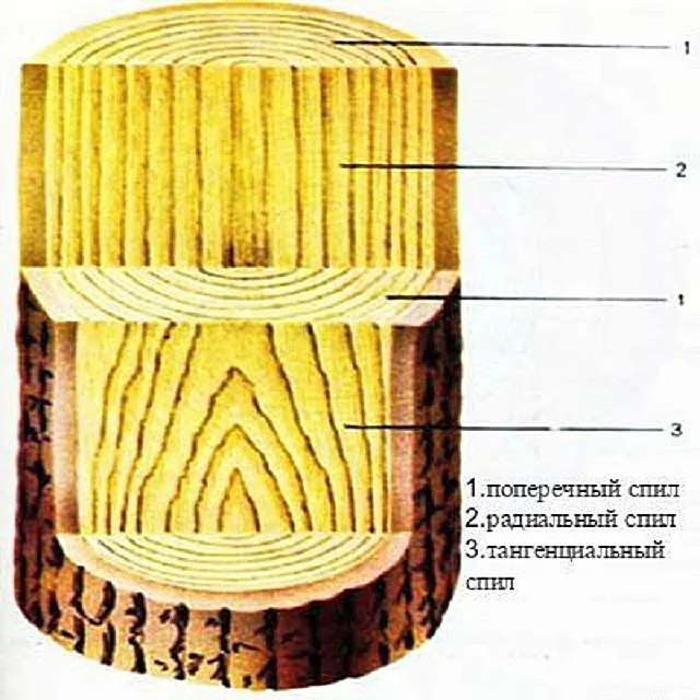 Фактурный рисунок при различных типах распиловки бревна.