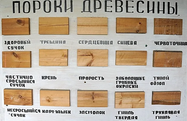 Демонстрация основных дефектов, которые могут встретиться на пиломатериалах.