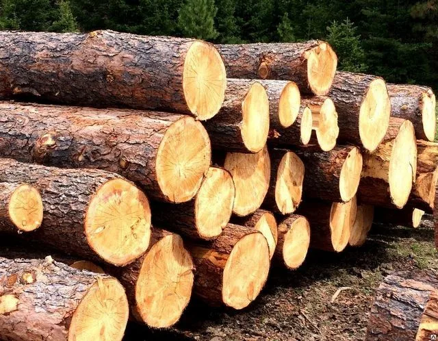 Дом из кедра – очень дорогое удовольствие, но зато это гарантия качества и долговечности.