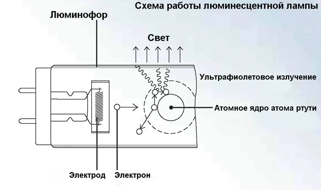 Люминесцентная лампа и процессы в ней происходящие