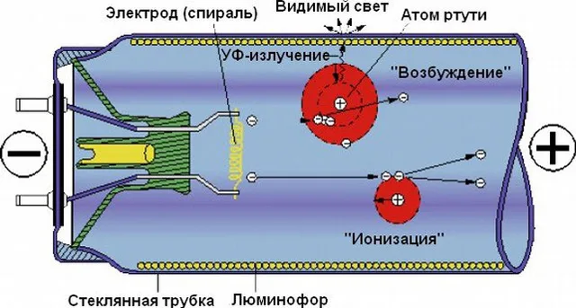Процессы, происходящие внутри люминесцентной лампы