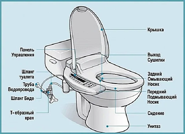 Один из вариантов конструкции унитаза, совмещенного с биде.