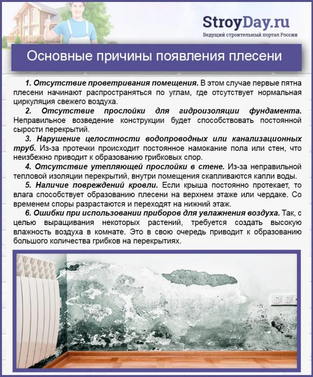 Основные причины появления плесени