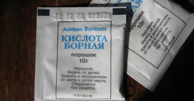 Для устранения вредителей можно использовать борную кислоту