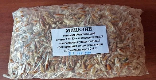 Мицелий (грибница) вешенок чаще всего продается в прозрачных полиэтиленовых пакетах, иногда упакованных в коробки, но иногда производители упаковывают посадочный материал в пластиковые контейнеры