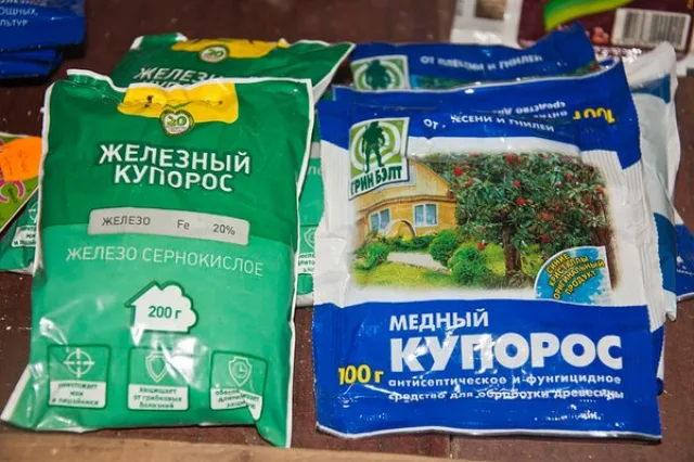 Железный и медный купоросы часто применяют для профилактики парши, монилиоза