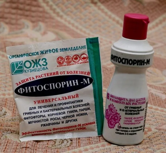 Давно зарекомендовавший себя фунгицид «Фитоспорин» помогает уничтожить возбудители многих заболеваний