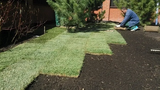 Укладка рулонного газона