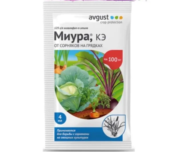 Миура Avgust