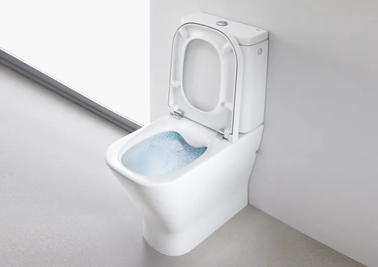 Унитаз фаянсовый Roca The Gap 34273700H+341730000