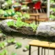 Пластиковые бутылки больше не выбрасываю: собираю из них теплицу своими руками – не мусор, а сокровище