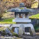 Как вырастить мох на бетоне или граните: научный подход от биолога