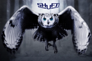 Бесшумные технологии SHUFT