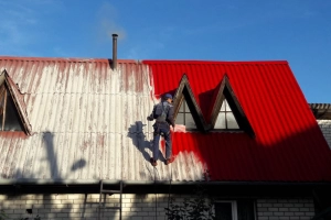 Какую выбрать краску для крыши: ТОП-13 лучших кровельных красок