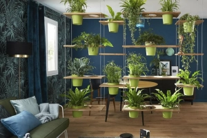 Лучшие комнатные растения для дома: полезные комнатные цветы и их названия, Топ 21 лучших растений