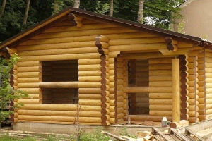 Из какого дерева лучше строить баню: как правильно выбрать материал и не прогадать