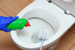 Лучшее средство для чистки унитаза — ТОП-10 наиболее популярных и эффективных средств