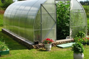 Как выбрать поликарбонат для теплицы: какой лучше и обзор популярных брендов