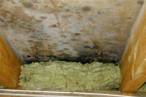 «У меня утеплитель бракованный — не греет»: почему приходится мерзнуть даже в утепленных домах и что с этим делать