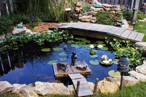 Пруд на даче своими руками: обустраиваем красивый участок самостоятельно