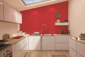 Краска для стен на кухне какая лучше — правила выбора и рейтинг ТОП-12