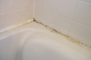 Как и чем удалить старый герметик с поверхности и нанести новый: облагораживаем шов между ванной и стеной