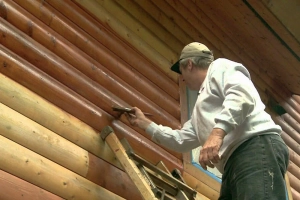 Чем покрасить баню снаружи не дорого и надолго