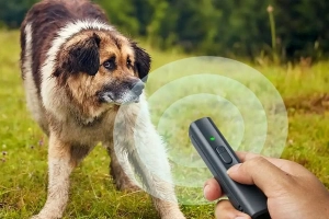 Отпугиватель собак рейтинг: какой лучше выбрать по соотношению цена-качество