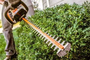 Чем лучше обрезать куст, какой выбрать электрический кусторез: Топ 17 лучших моделей для дачи и дома