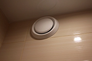 Анемостат для вентиляции – зачем он нужен, какой выбрать, и правильная установка