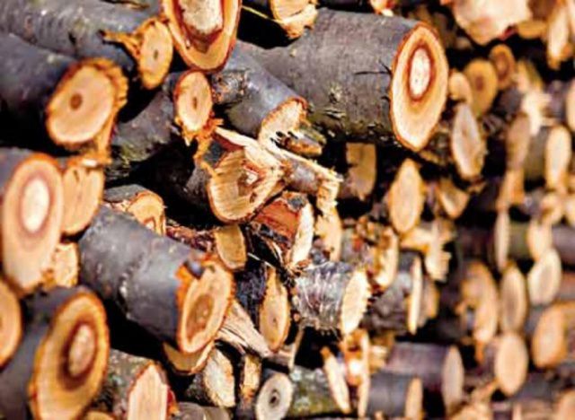 Какими дровами лучше топить печь: выбираем лучшие породы для топления печи в доме8