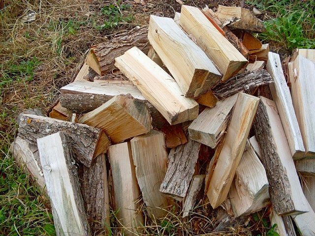 Дрова для топки-камина и какие дрова лучше для топки-камина, советы по выбору породы дерева