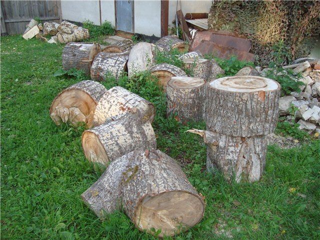 Дрова для топки-камина и какие дрова лучше для топки-камина, советы по выбору породы дерева
