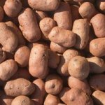 59509_keramzit_frakcii_10_16_mm_10_20_mm