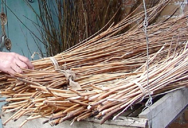 Материал для плетения - длинные и гибкие ивовые прутья