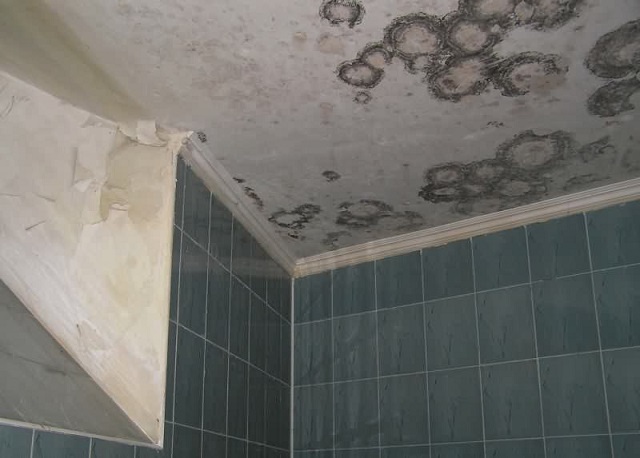 Потолок ванной, охваченный плесневым грибком.