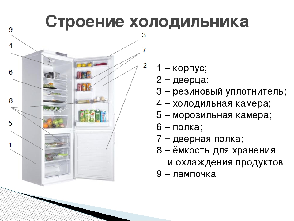 Строение холодильника