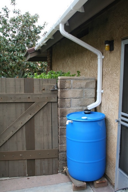 Простая надземная летняя система сбора воды, в качестве резервуара в которой использована обычная пластиковая бочка
