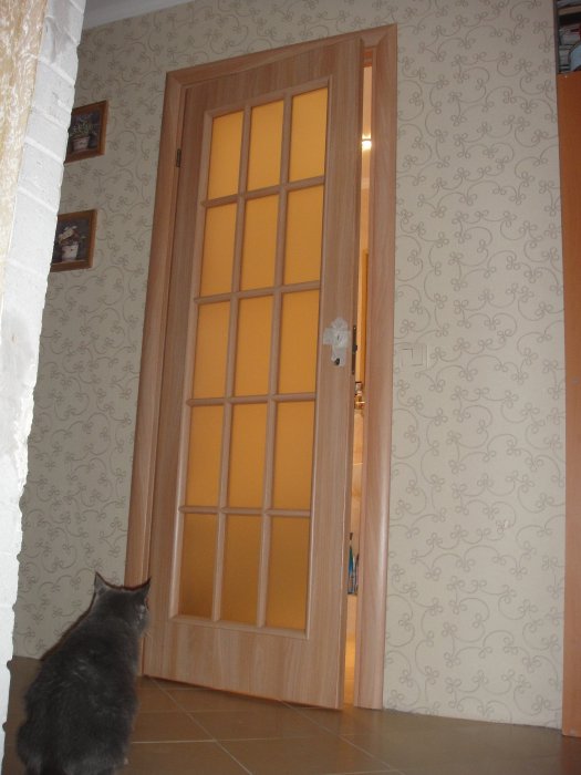 Kočce se moc líbilo