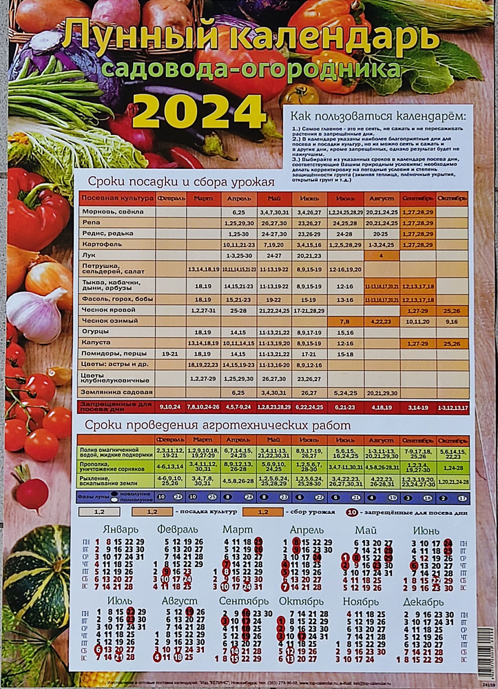 Календарь садовода и огородника на 2024 год: лучшее время для садовых работ