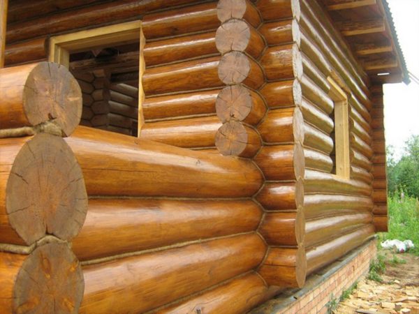Обработка защитными составами – обязательный этап при строительстве деревянной бани и ее последующей эксплуатации