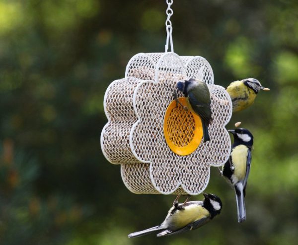 Кормушка для птиц выполнена в виде сетчатого цветка