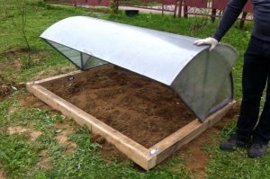 Теплица-ракушка