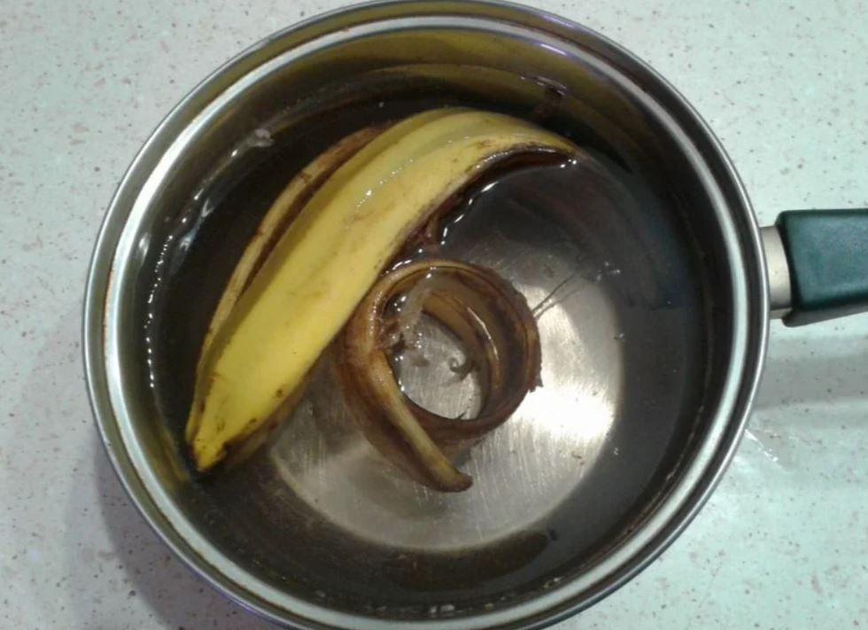 Настой из банановой кожуры — хорошее удобрение для растений