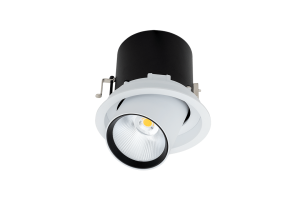 Поворотно-выдвижные