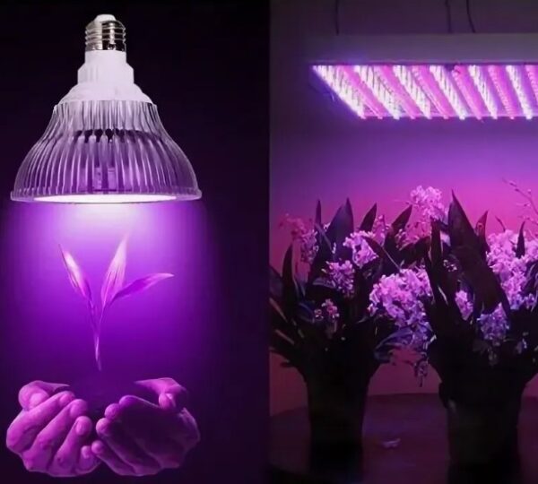 LED фитолампы