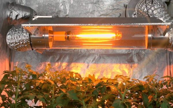 Лампа натриевая