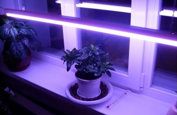 Люминесцентная лампа